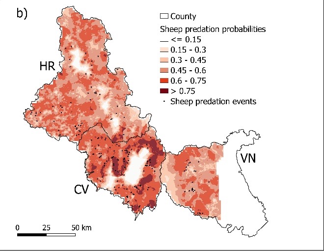 OHIO researcher investigates first assessment of livestock predation